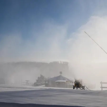 Welcome In - 14 In Der Naehe Des Skigebiets Mit Sauna - Blick Auf Bobbahn Διαμέρισμα Βίντερμπεργκ