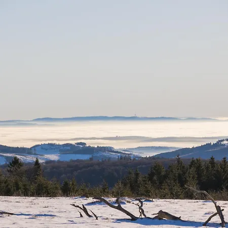 Welcome In - 14 In Der Naehe Des Skigebiets Mit Sauna - Blick Auf Bobbahn * ווינטרברג
