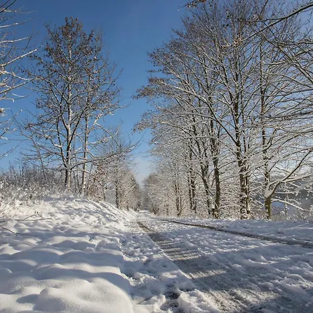 Welcome In - 14 In Der Naehe Des Skigebiets Mit Sauna - Blick Auf Bobbahn Winterberg