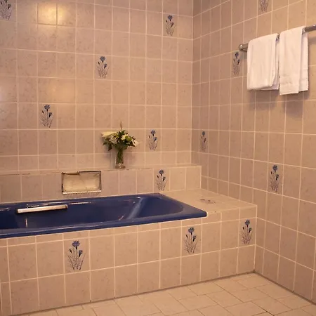 公寓 Welcome In - Dichtbij Skigebied Met Sauna